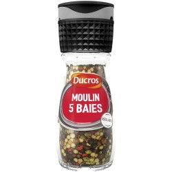 DUCROS Moulin 5 baies doux - 26g